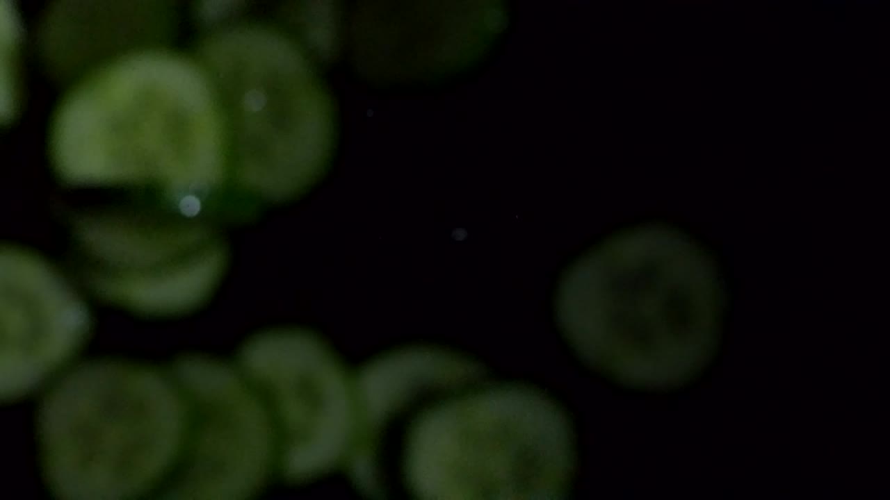 둥근 호박 조각이 떨어집니다.