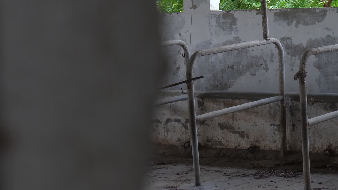 느린 돌리는 파키스탄 신드에 있는 낙농장 건물에서 파이프 뷰 빈 우리를 지나서 왼쪽