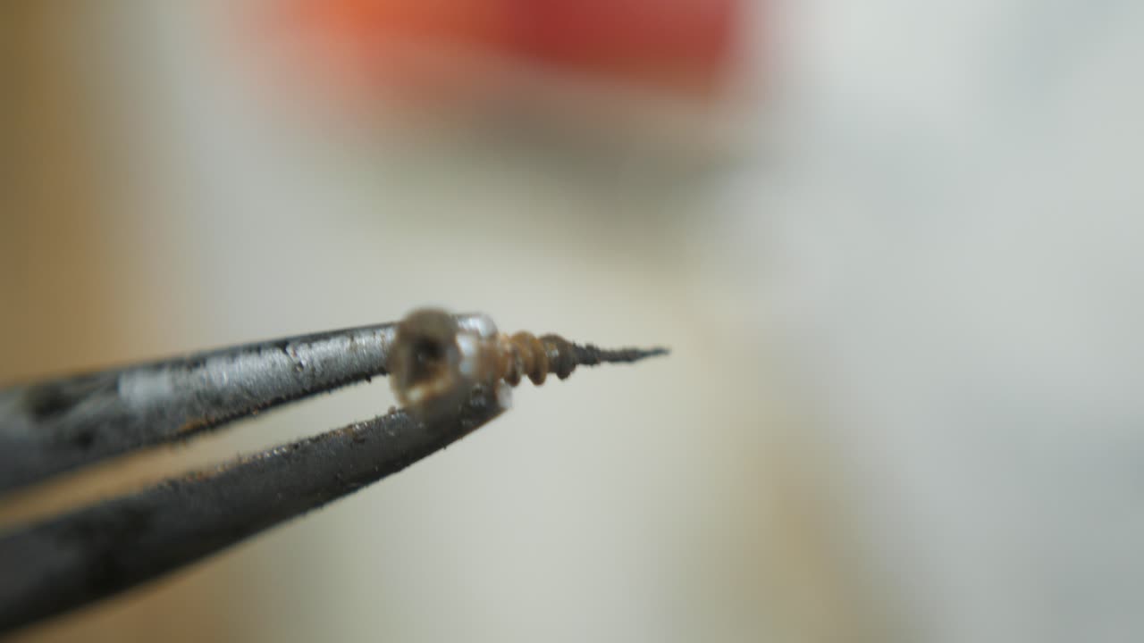 Tornillo para madera oxidado, corroído y oxidado con ranura cruzada