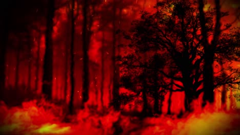 inferno in the forest: trees consumed by flames and shrouded in thick, rolling smoke