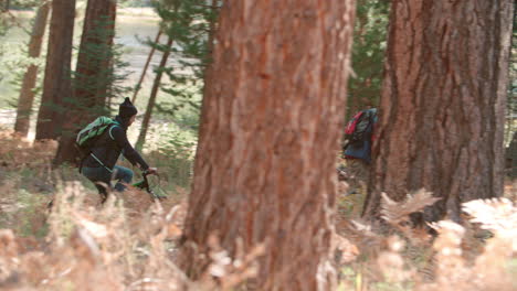 group of friends cycling on a forest path, side view