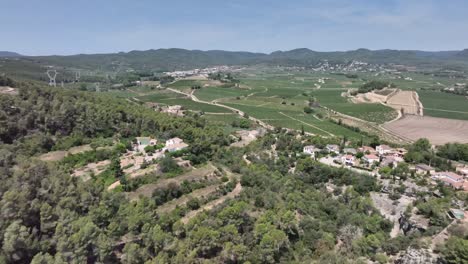 view with general plan, charming town, history, medieval church, views of the town, vineyards, church, medieval
