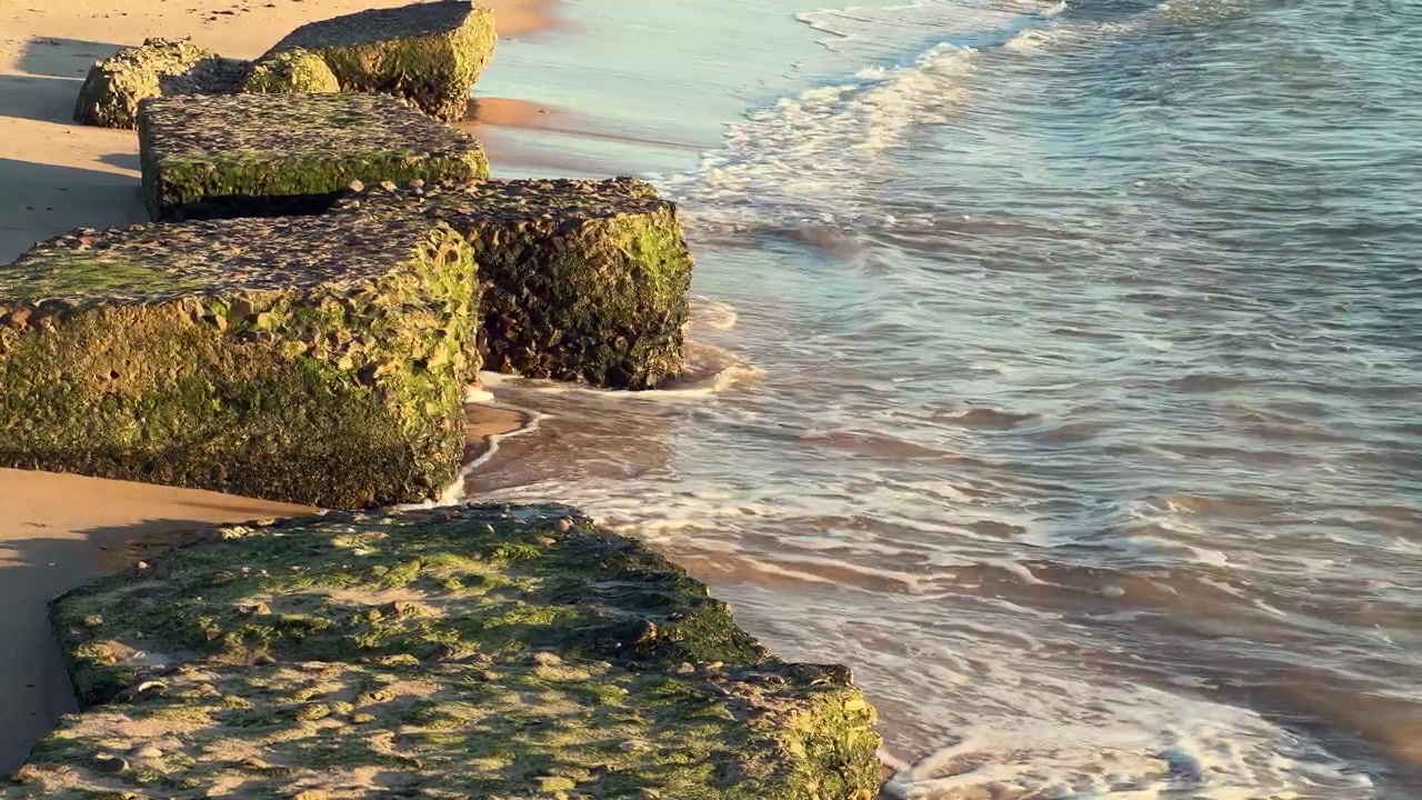 Algerdækkede bølgebrydersten står fast mod bølgernes blide kærtegn på en fredfyldt strand ved solnedgang i Barbate, Andalusien, Spanien.