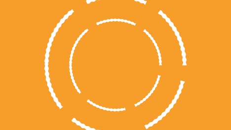 circle rotation split pop animation motion graphics