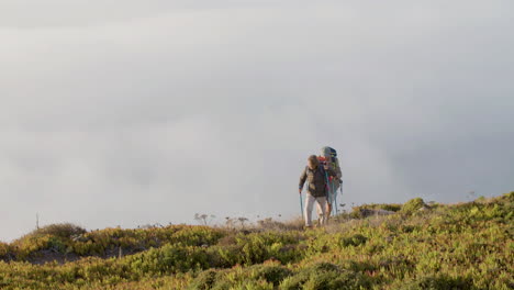 long shot of a senior hikers walking with trekking poles