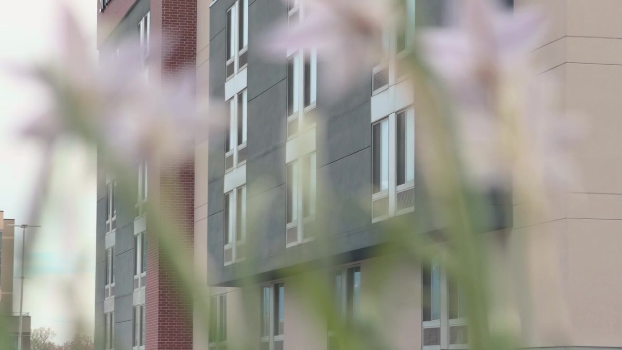 Piante in primo piano sfocate che si muovono dolcemente con un edificio residenziale sullo sfondo