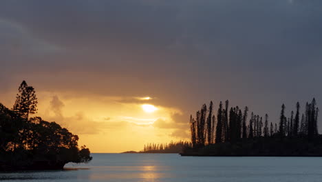 thick clouds move over columnar pine silhouettes