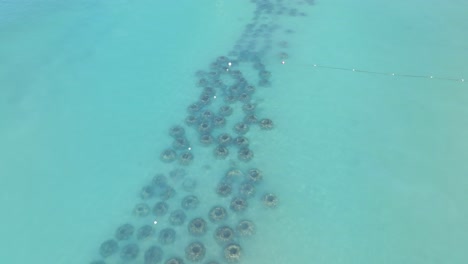 aerial view of artificial reef in clear ocean water