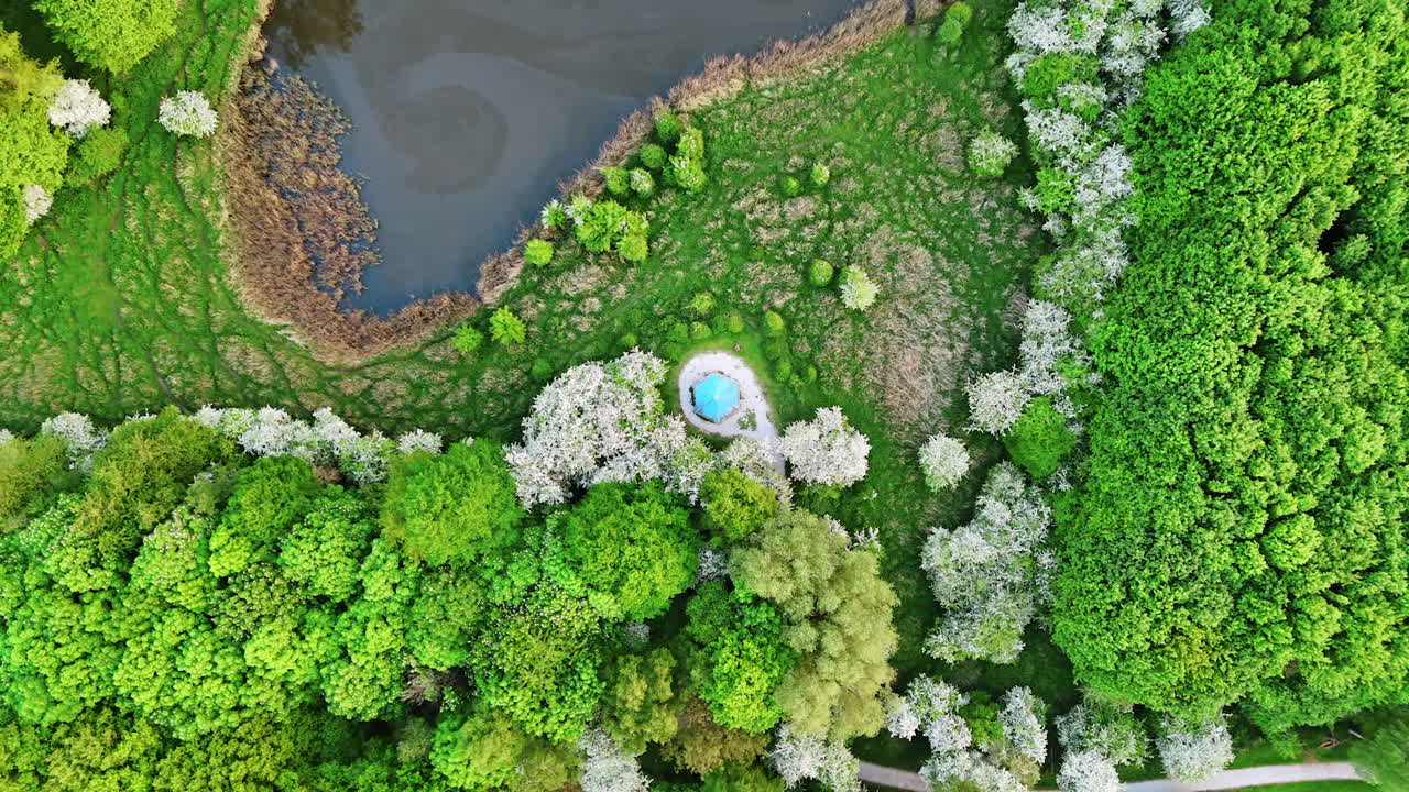 Rising above the blue roof of gazebo located in the park. Stunning nature with a lake, green meadows and trees from top view. The Netherlands.