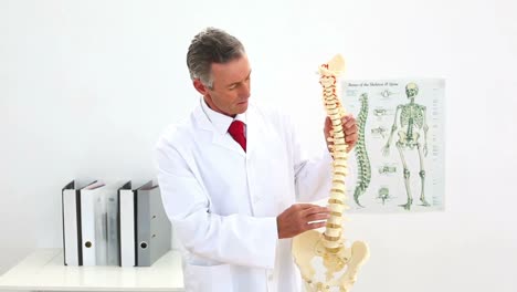 doctor pointing to skeleton model