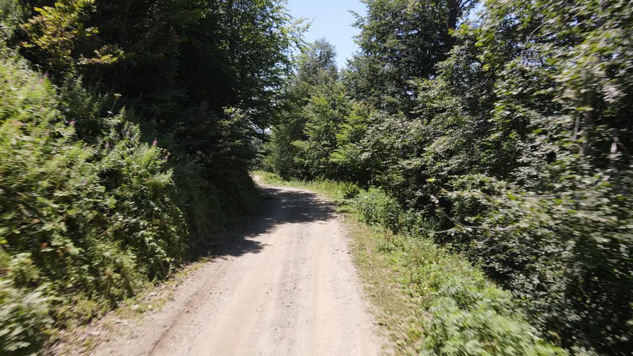coche que viaja en medio del bosque 6