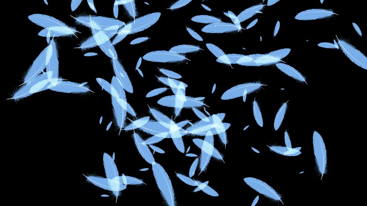 светло-голубые перья, летящие частицы, движущаяся графика.