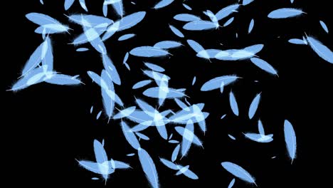 plumas azules ligeras partículas en vuelo gráficos de movimiento