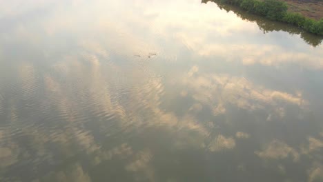 goa divar island drone passing from coconut trees vacation mercure goa devaaya reflection of morning sky and clouds in still water river lake by drone india goa