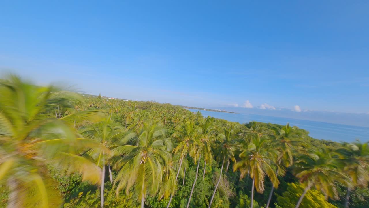 drone volando bajo a través del bosque tropical hacia la playa desierta, isla y costa de playa luci landia, república dominicana