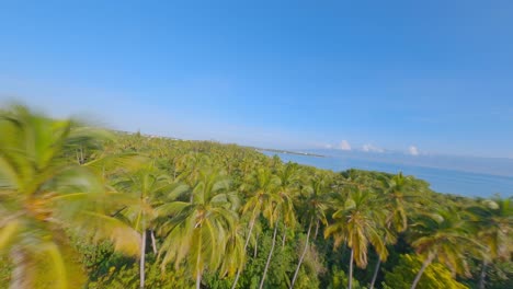 Drone-Flying-Low-through-Tropical-Forest-Towards-Deserted-Beach,Island-and-Coast-of-Playa-Luci-Landia,-Dominican-Republic