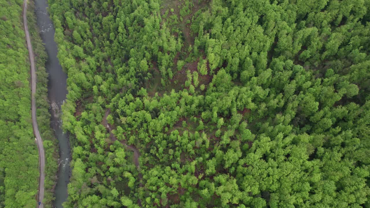 foto aérea de la deforestación ilegal en zavidovici, bosnia.
