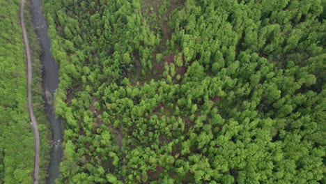 Top-down-aerial-of-illegal-deforestation-in-Zavidovici-Bosnia