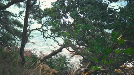 Mount-Maunganui-Hafen-Neuseeland