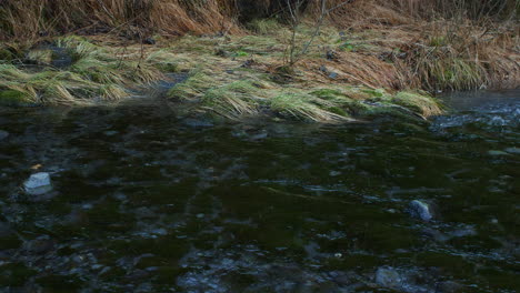 Ein-Sich-Langsam-Bewegender-Bach-Mit-Klarem-Wasser-Und-Schnee,-Der-In-Alaska-Fällt