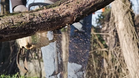 Gardener-Cutting-Piece-Of-Wood-Using-Chainsaw-Outdoors-On-A-Sunny-Day---slow-motion,-static-shot