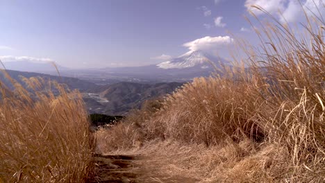 ruta de senderismo entre hierba alta en japón con el hermoso monte fuji en la distancia