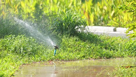 rociador de jardín que riega las plantas en un ciclo