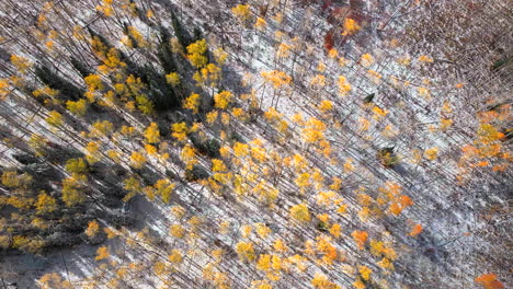 birds eye view kebler pass colorado aspen tree colorful yellow red orange forest early fall winter first snow rocky mountains breckenridge keystone vail aspen telluride silverton ouray left motion