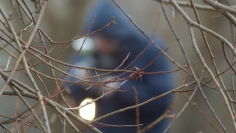 Crime-scene-investigation,-detective-collecting-evidence,-blurry-view