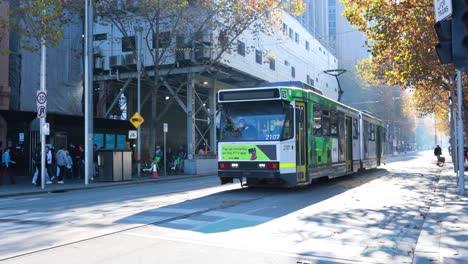 a tram moves through a sunlit city street