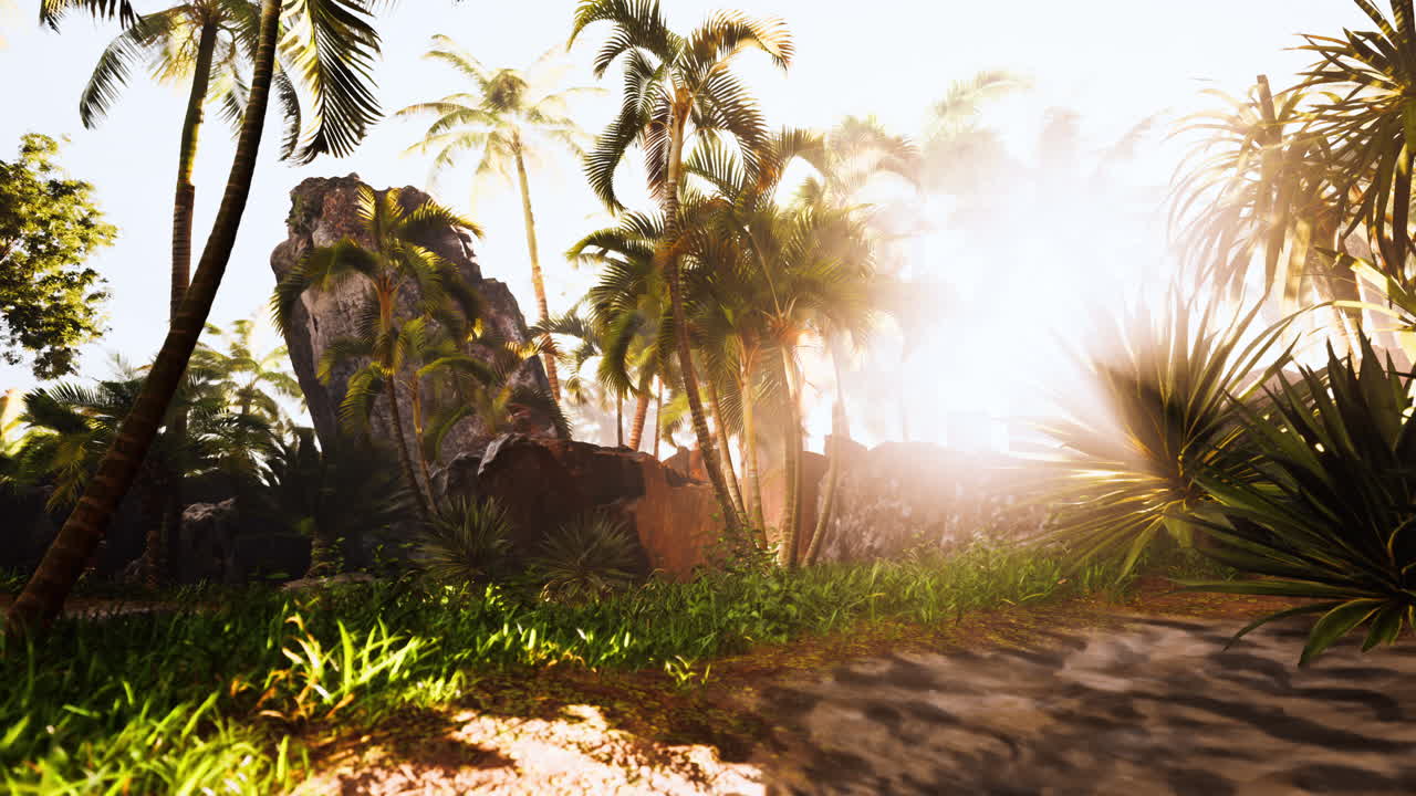 amanecer tropical en una selva exuberante