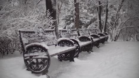 Leere-Bänke-Stehen-Im-Winter-In-Einem-Schneebedeckten-Park