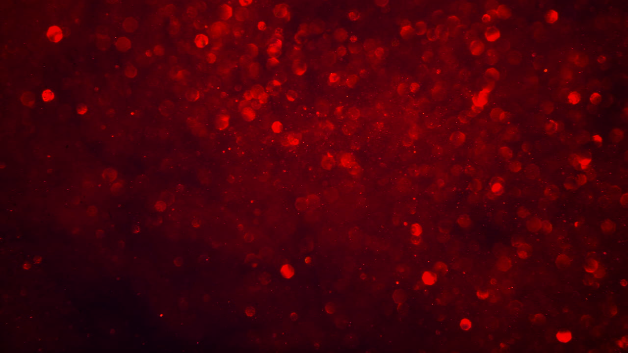 반짝이는 보케 조명 루프가 있는 추상 짙은 진홍빛 빨간색 반짝이는 입자 배경