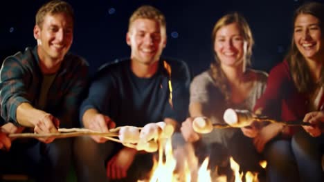 friends enjoying a cozy campfire evening as they roast marshmallows on sticks under a starry sky, creating memories and spreading joy together