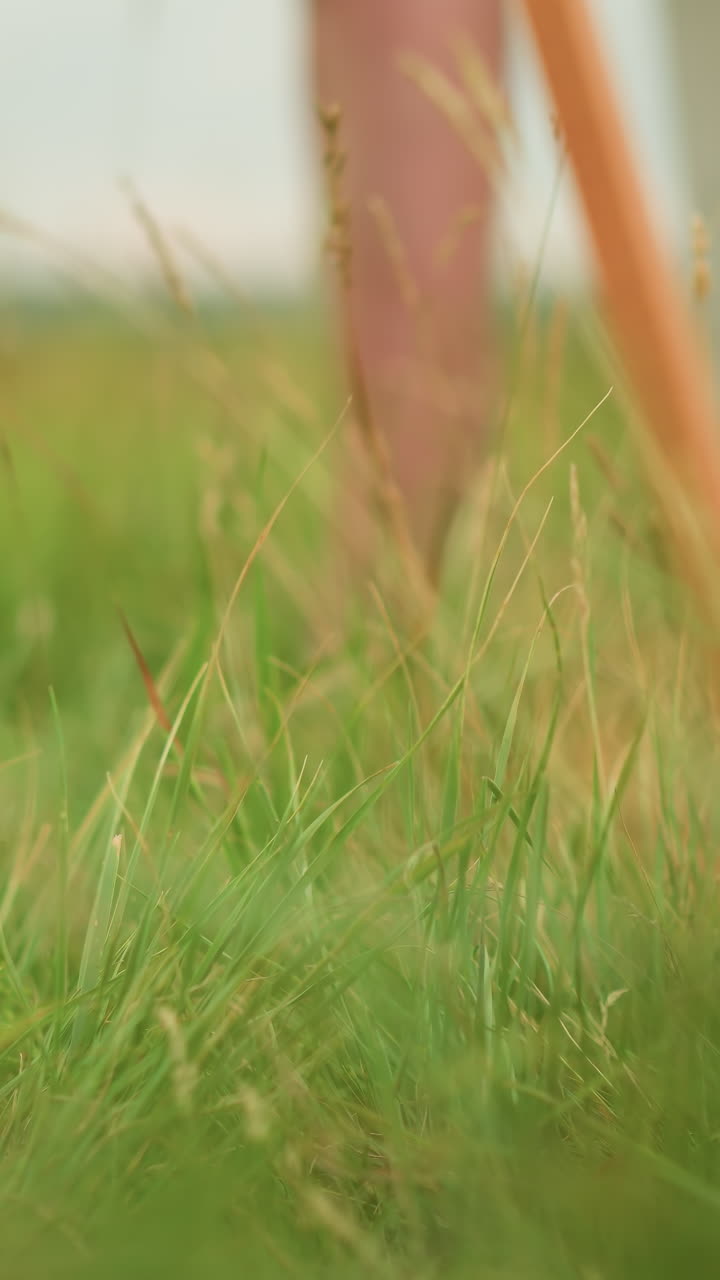 A close-up shot of the legs of a wooden tripod standing in a grassy field. The soft focus and natural setting evoke a sense of calm and simplicity in this peaceful scene