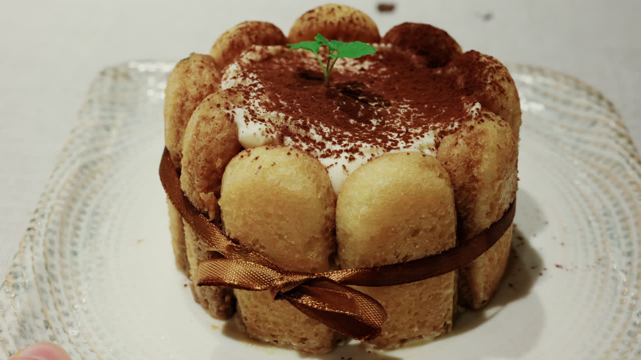 Kakao tozu ve kenarlarına zarifçe dizilmiş kedidili bisküvileri ile bir tiramisu tatlısının yakın çekimi.