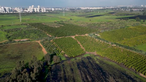 Video-De-Drones-4k-Del-Estanque-De-Invierno-Rehovot,-La-Vida-Aislada-De-La-Temporada-De-Lluvias,-Rehovot-Israel