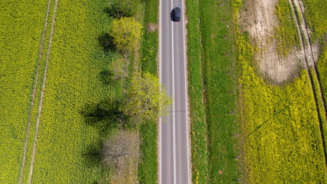 Hermoso-Viaje-Largo-Por-Carretera-En-Coche-Rodeado-De-Exuberantes-Campos-Verdes,-Antena