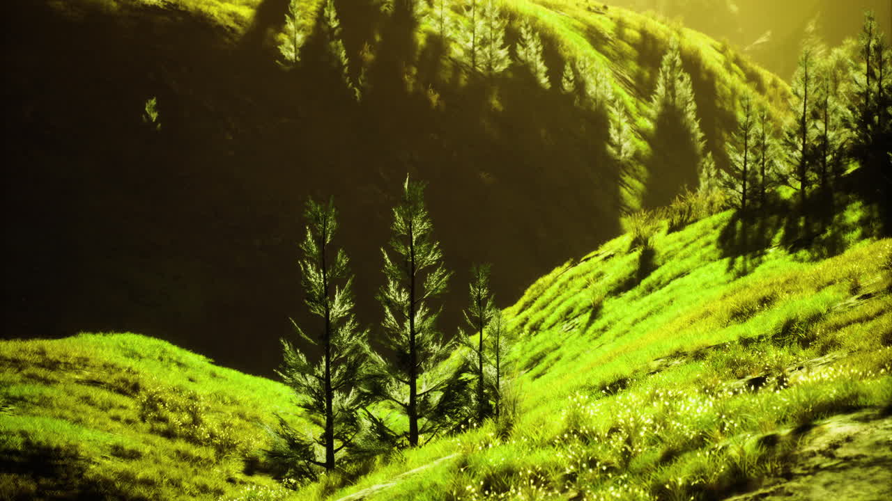 Lush green hills illuminated by golden sunlight in serene landscape