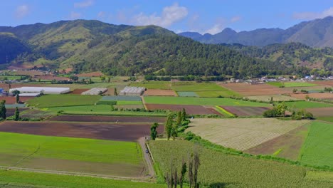 aerial flight over fertile farm lands of constanza, dominican republic