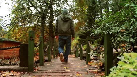 Caminar-En-El-Parque-Bosque-Viajes-Otoño-Concepto