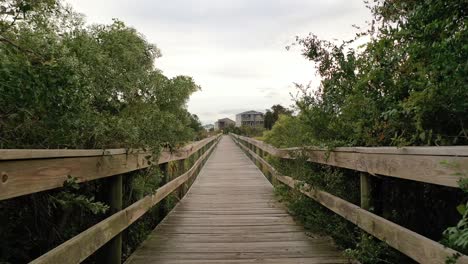 moviéndose por un paseo marítimo sobre el pantano