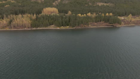 Dolly-viewpoint-above-lake-towards-autumn-vast-forest