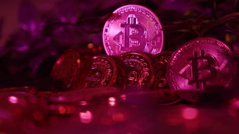 bitcoin cryptocurrency coins in purple light