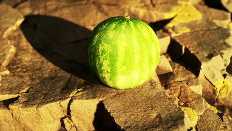 bayas de frutas de sandía en piedras rocosas
