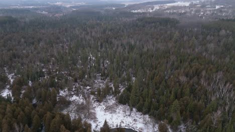 alton grange and credit river forest aerial, winter scenery, peaceful and vast landscape