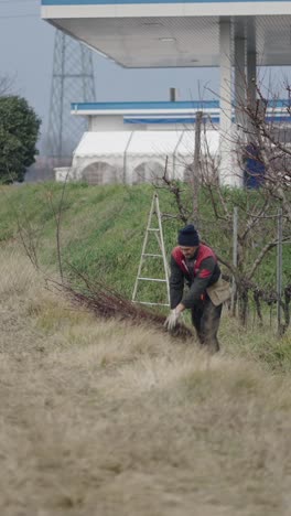 A man carrying branches in a rural setting