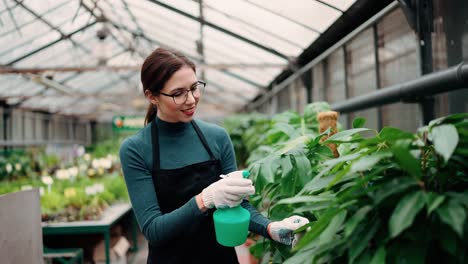 Botanist-taking-care-of-foliage,-moisture-quality-control