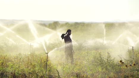 Field-irrigated-in-slow-motion.