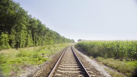 在波蘭的森林和玉米田之間的火車線路歐洲在夏天在4k